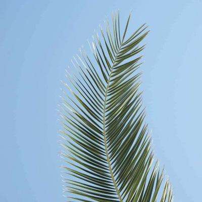 beat365中国在线体育下载手机版