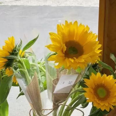 BOB体育平台下载地址