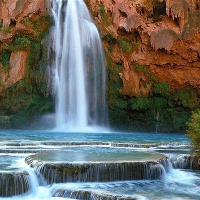 奇异果体育手机app下载